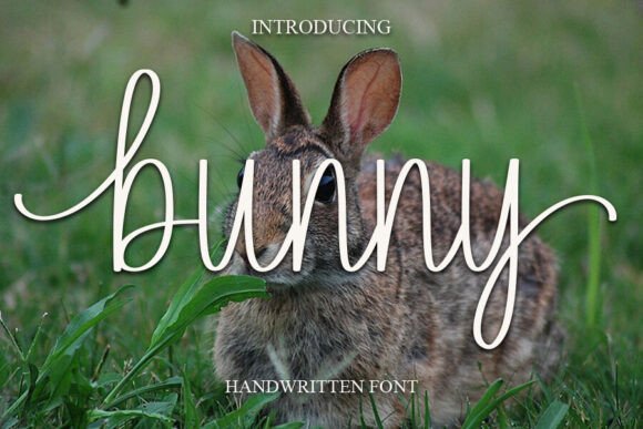 Bunny Font: A Sweet Handwritten Touch for Elegant Design